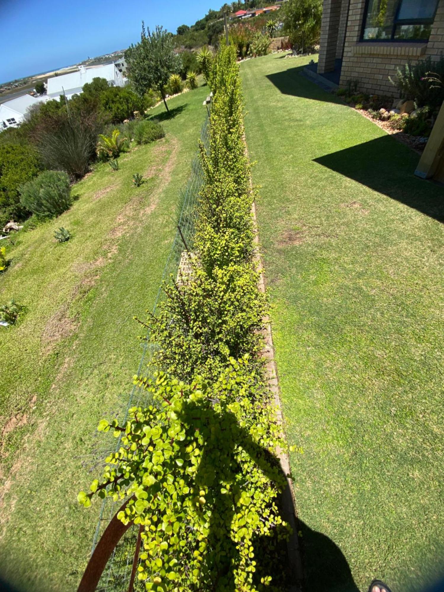 River Daze Stilbaai Exterior photo